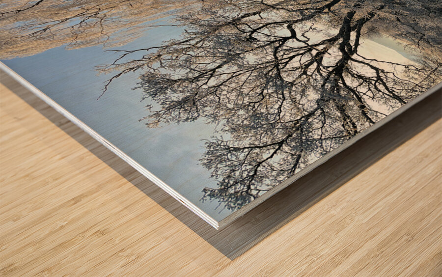 Winters Frosty Nature in the Scottish Highlands  Wood print