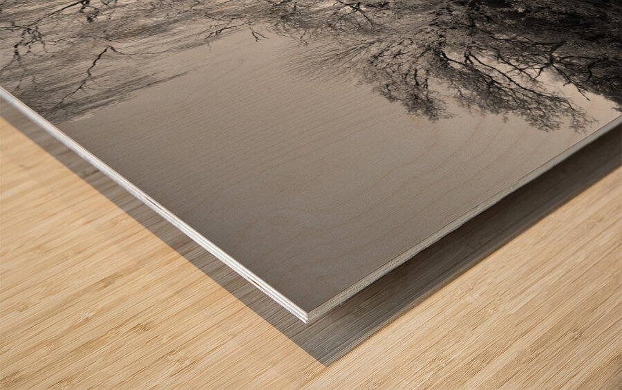  Black and White Winter Beauty in the Scottish Highlands Wood print