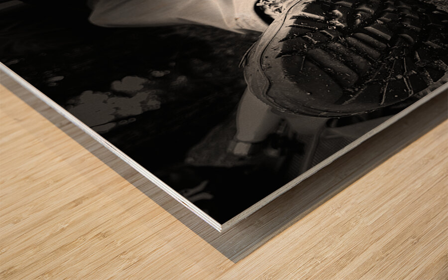 Scenes from the Trail- Resting Too Wood print