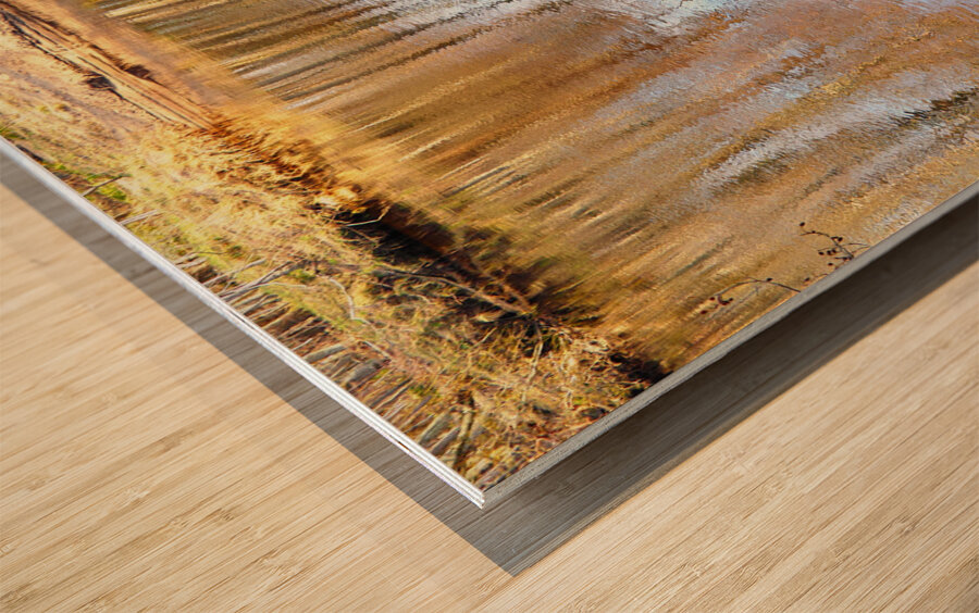 River Speys Spring Reflections                                                                                                                  Wood print