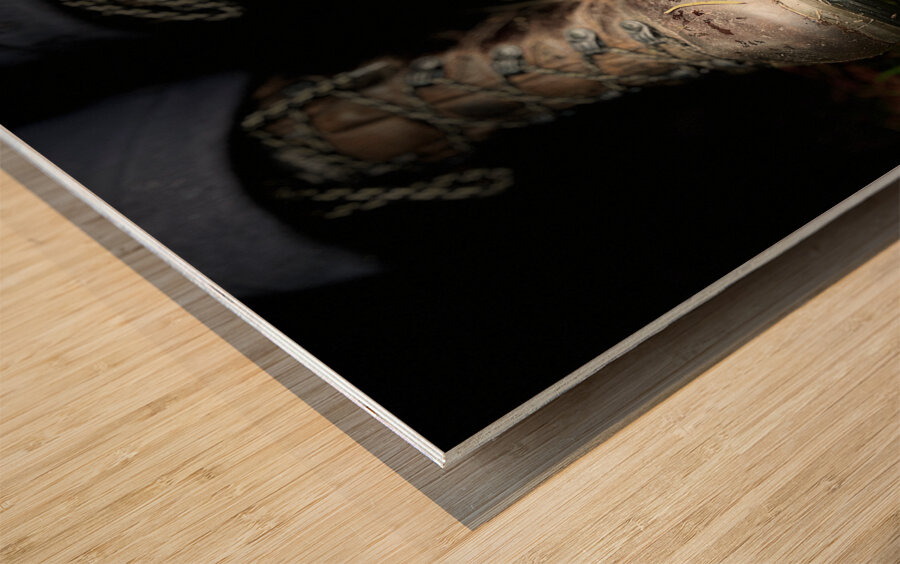 Scenes from the Trail- Muddy Boots Wood print