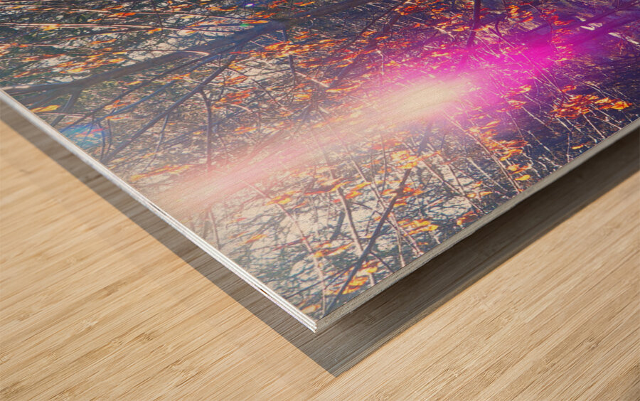 Scottish Highlands Visitation                                                                                                           Wood print