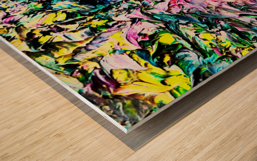 Colourful Old Bodach of Albany Wood print