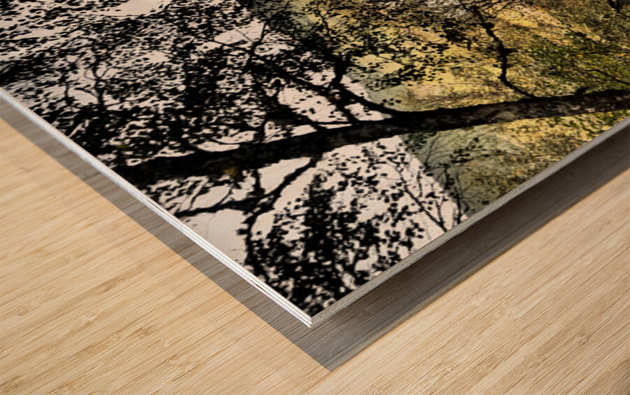 Loch Vaa Autumnal View                                                                                                                      Wood print