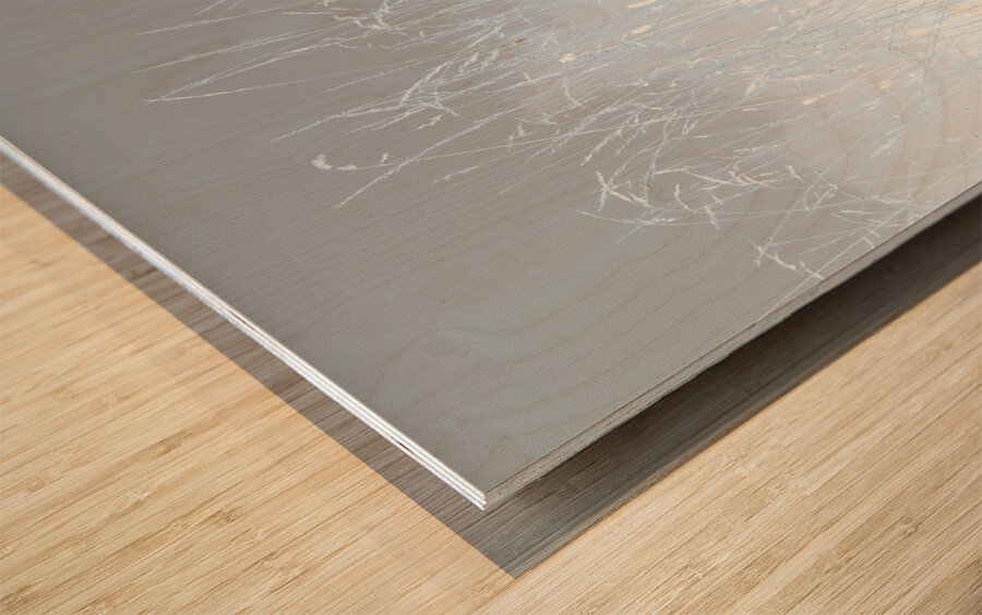  Abstract Linear Inverted Long Grass In the Mist Wood print