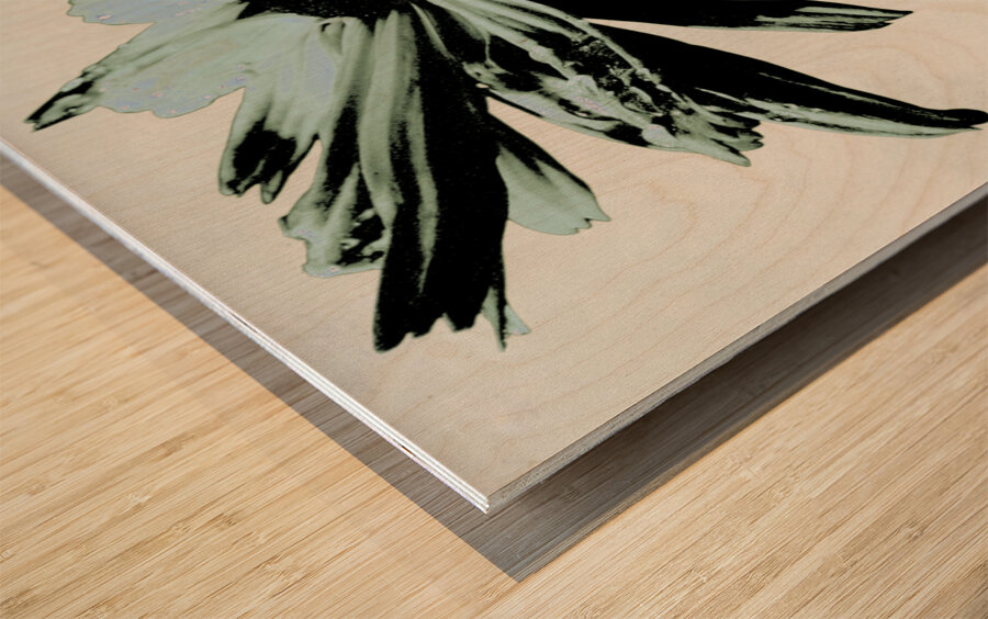 Dark Lime Daisy Flower on an Abstract Pale Background Wood print