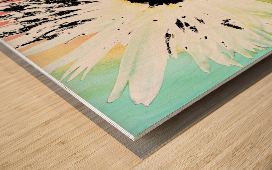 White Daisy Dark Centred on an Abstract Background Wood print