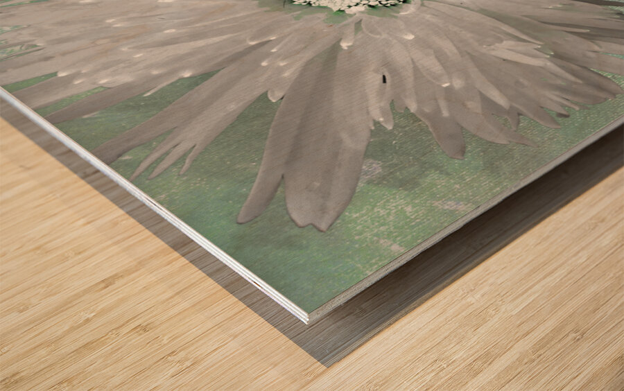 Paler Silver Turquoise Daisy on a Green Abstract Background Wood print