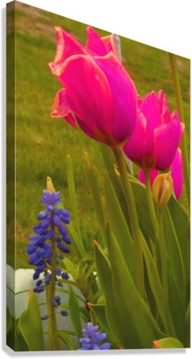 Floral Delight Canvas Print