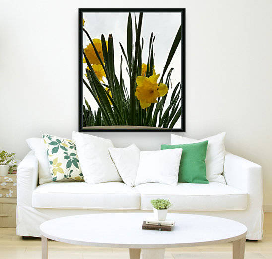 Just a daffodil day! by Kimberlee Ingram