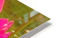 Floral Delight HD Metal print