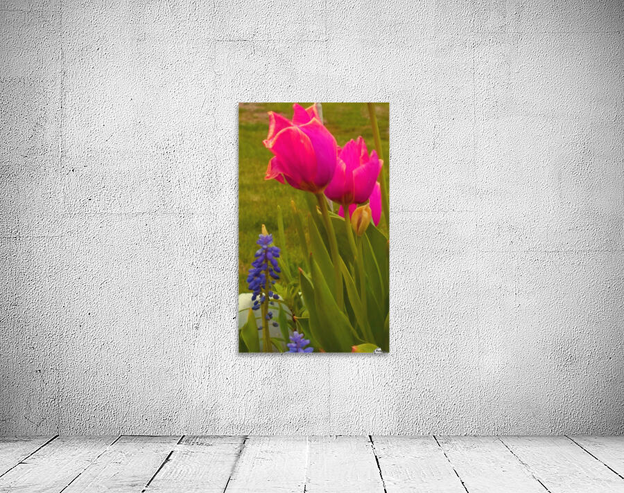 Floral Delight Wall Preview