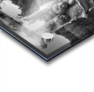 The Winery Acrylic print