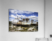 Louise Ockers Acrylic Print