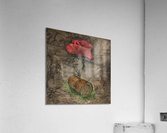 Optimism Acrylic Print