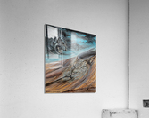 Climate Change Acrylic Print
