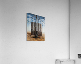 The Forgotten Reason Acrylic Print
