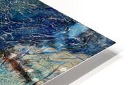 Frozen HD Metal print