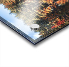 relecting on Acrylic print