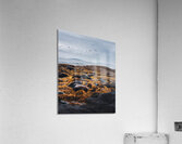 Flocking Off Acrylic Print