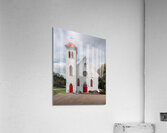 The Great Grapevine Acrylic Print