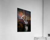 Golden Dreams Acrylic Print