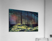 Lonesome Tree Acrylic Print