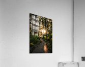 Wayfinder Acrylic Print