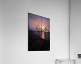 Mid-night Mischief Acrylic Print
