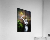 Deja Vu Daydream Acrylic Print