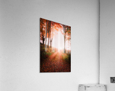 Into the Unknown -- Part 2 Acrylic Print