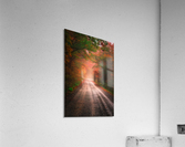 Into the Unknown -- Part 3 Acrylic Print