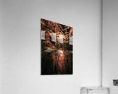 Suspended on the cusp Acrylic Print