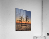The Light Between  Acrylic Print