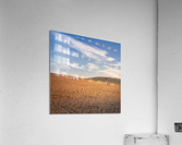 Sandbox Acrylic Print
