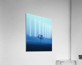 A New Clear Winter Acrylic Print