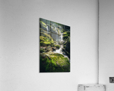 Subtle Synchronicities Acrylic Print
