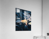 a warm glimpse Acrylic Print