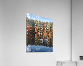 relecting on Acrylic Print