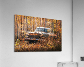 Autumn Jalopy Acrylic Print