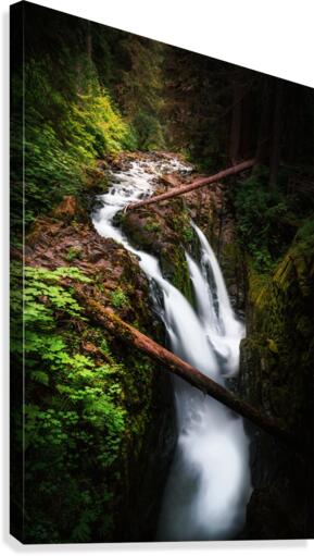 Deja Vu Daydream Canvas Print