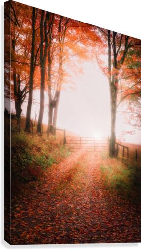 Into the Unknown -- Part 2 Canvas Print