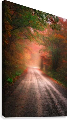 Into the Unknown -- Part 3 Canvas Print