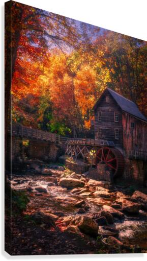 Casting Colors -- Falling leaves Canvas Print