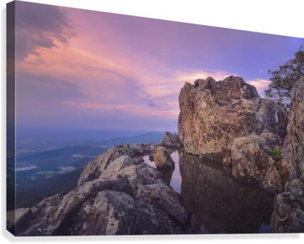 A Familiar Feeling Canvas Print
