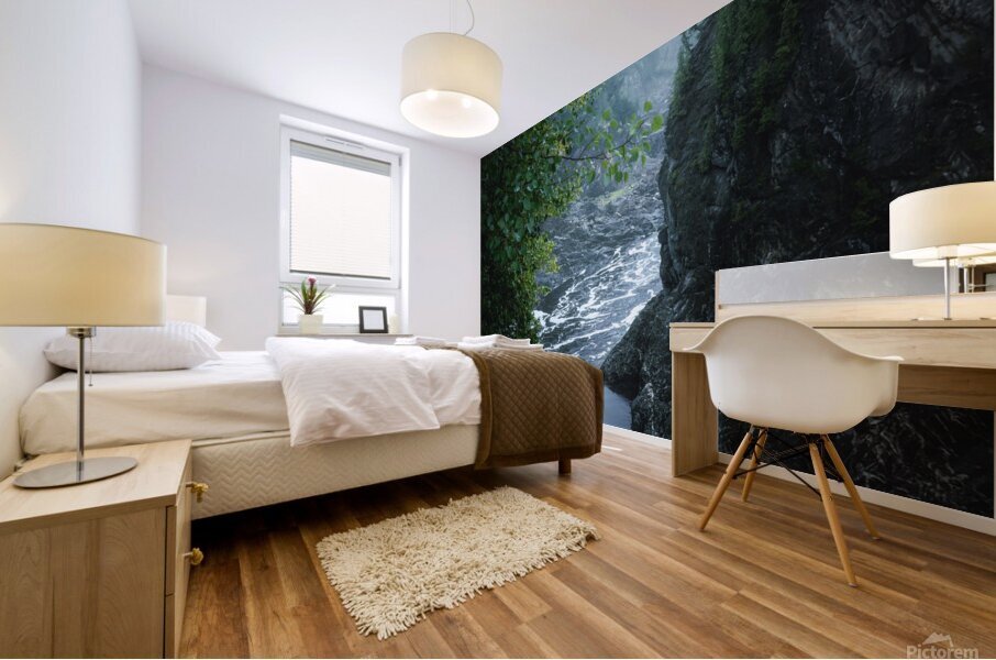 Man Akin Mural print
