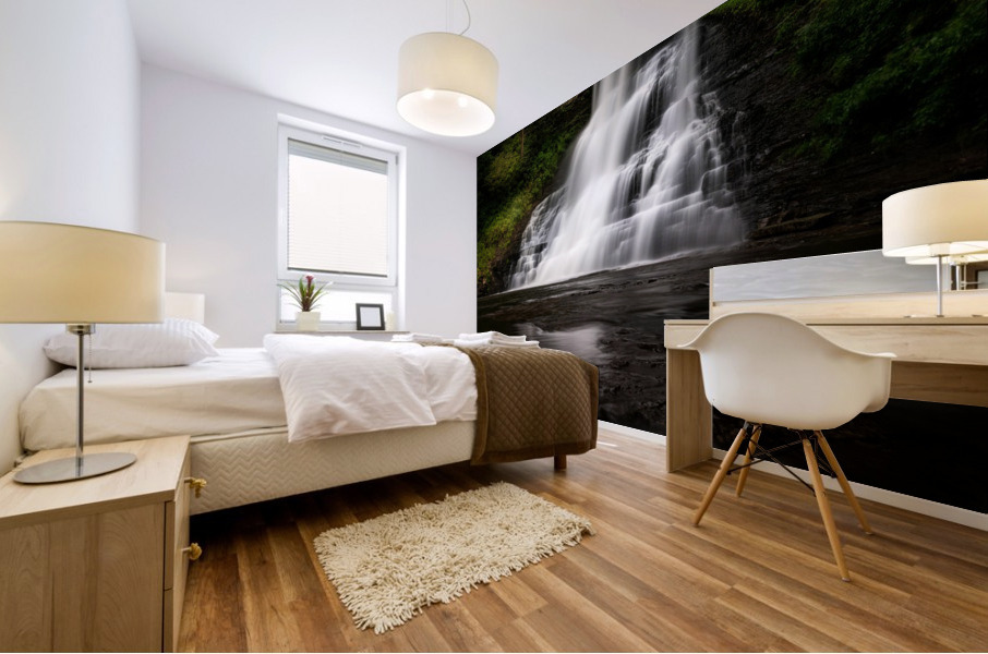 Capturing the Cascade Mural print