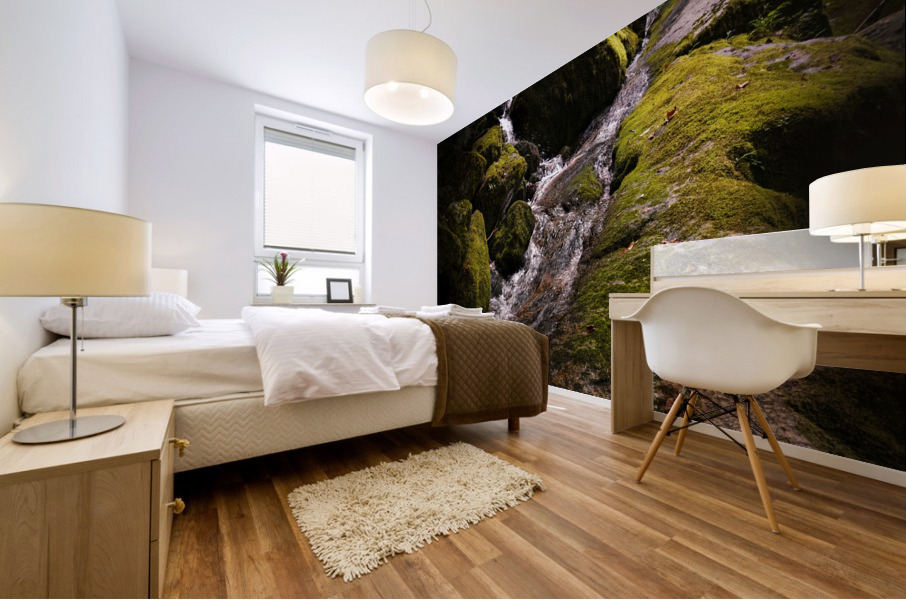 Wall Falls Mural print