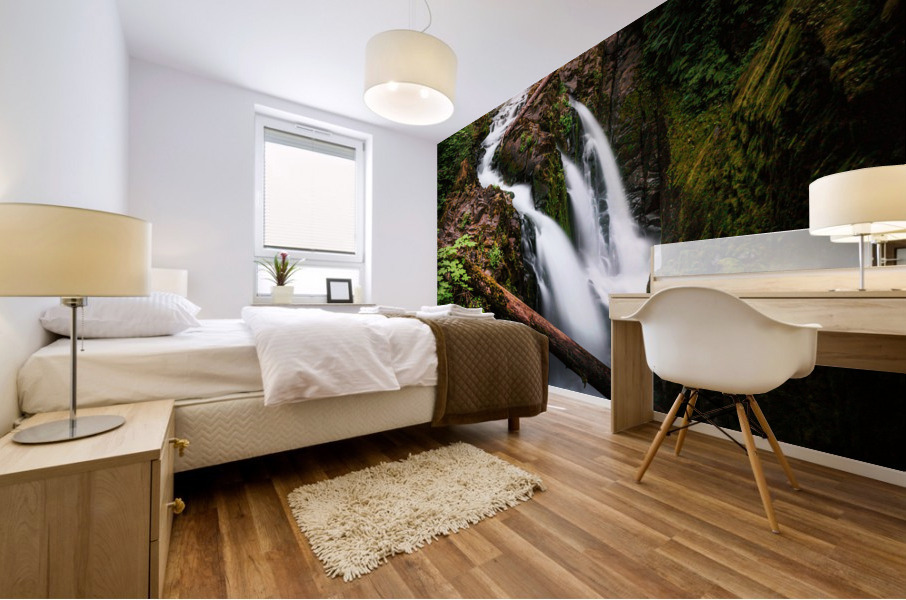 Deja Vu Daydream Mural print