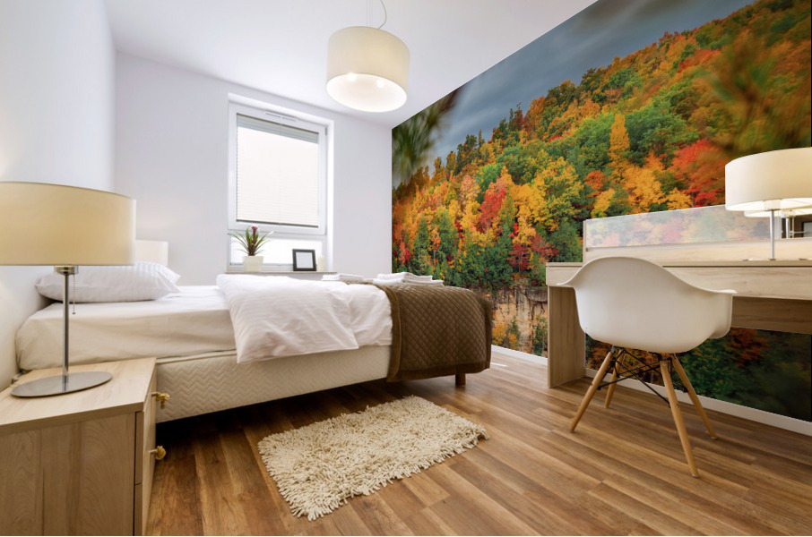 Framed Foliage Mural print